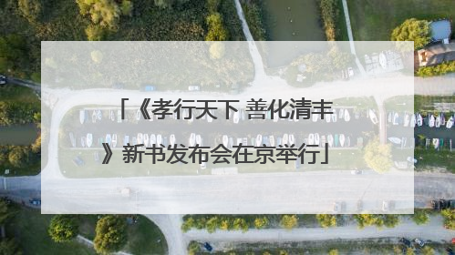 《孝行天下 善化清丰》新书发布会在京举行