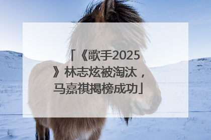 《歌手2025》林志炫被淘汰，马嘉祺揭榜成功