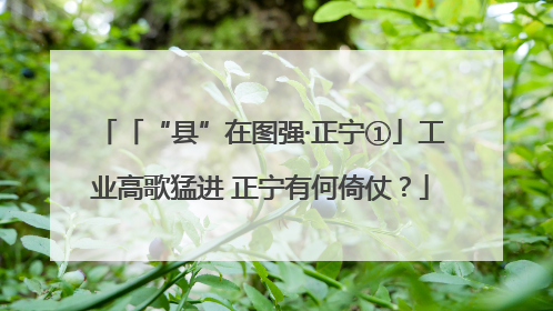 「“县”在图强·正宁①」工业高歌猛进 正宁有何倚仗？