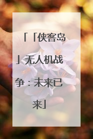 「侠客岛」无人机战争：未来已来