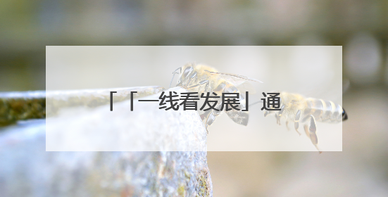 「一线看发展」通海：做足特色 做优产业——云南县域经济样本观察之二