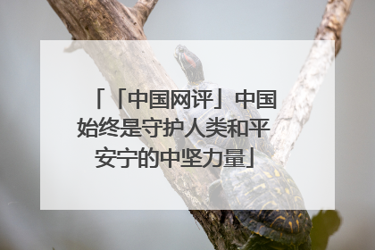 「中国网评」中国始终是守护人类和平安宁的中坚力量