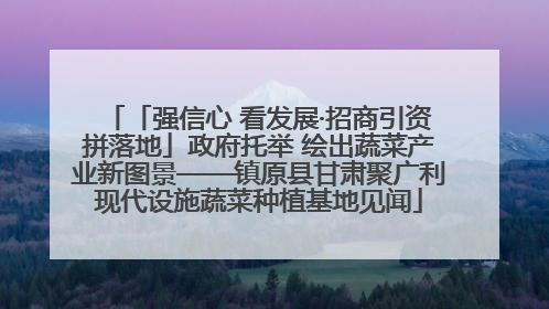 「强信心 看发展·招商引资拼落地」政府托举 绘出蔬菜产业新图景——镇原县甘肃聚广利现代设施蔬菜种植基地见闻
