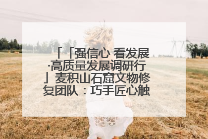 「强信心 看发展·高质量发展调研行」麦积山石窟文物修复团队：巧手匠心触摸“光阴的故事”