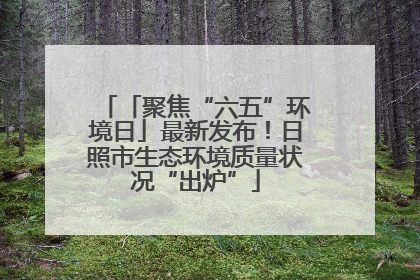 「聚焦“六五”环境日」最新发布！日照市生态环境质量状况“出炉”