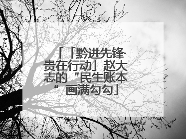 「黔进先锋·贵在行动」赵大志的“民生账本”画满勾勾
