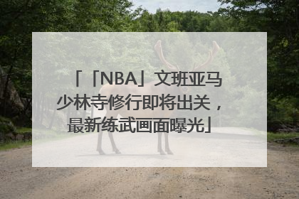 「NBA」文班亚马少林寺修行即将出关，最新练武画面曝光