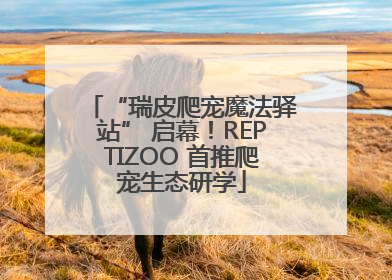 “瑞皮爬宠魔法驿站” 启幕！REPTIZOO 首推爬宠生态研学