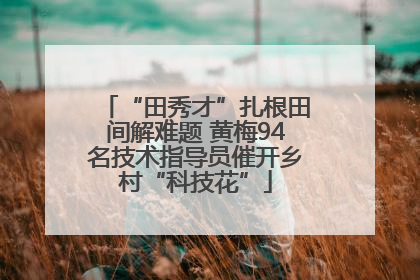 “田秀才”扎根田间解难题 黄梅94名技术指导员催开乡村“科技花”