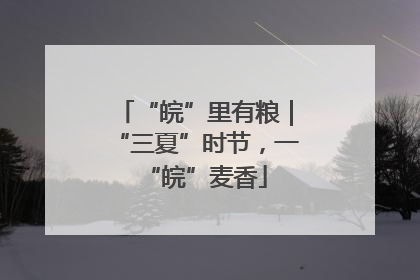 “皖”里有粮｜“三夏”时节，一“皖”麦香
