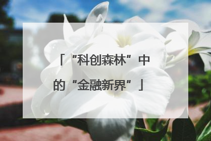 “科创森林”中的“金融新界”