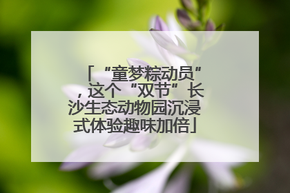 “童梦粽动员”，这个“双节”长沙生态动物园沉浸式体验趣味加倍