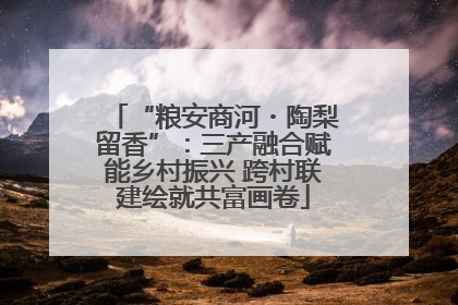 “粮安商河・陶梨留香”：三产融合赋能乡村振兴 跨村联建绘就共富画卷