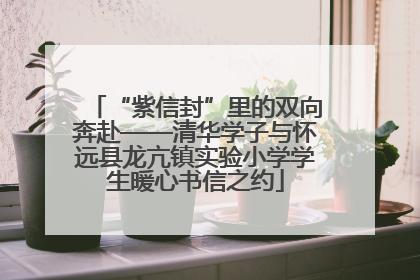 “紫信封”里的双向奔赴——清华学子与怀远县龙亢镇实验小学学生暖心书信之约