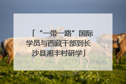 “一带一路”国际学员与西藏干部到长沙县湘丰村研学