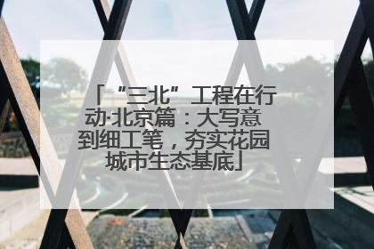 “三北”工程在行动·北京篇：大写意到细工笔，夯实花园城市生态基底