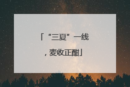 “三夏”一线，麦收正酣