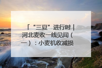 “三夏”进行时｜河北麦收一线见闻（一）：小麦机收减损“竞技” 农机高手麦田“过招”