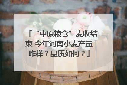 “中原粮仓”麦收结束 今年河南小麦产量咋样？品质如何？