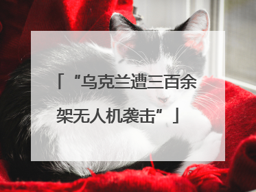 “乌克兰遭三百余架无人机袭击”