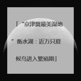 “京津冀最美湿地”衡水湖：近万只夏候鸟进入繁殖期
