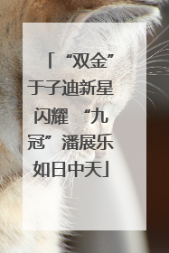 “双金”于子迪新星闪耀 “九冠”潘展乐如日中天