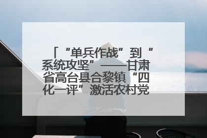 “单兵作战”到“系统攻坚”——甘肃省高台县合黎镇“四化一评”激活农村党员管理新引擎