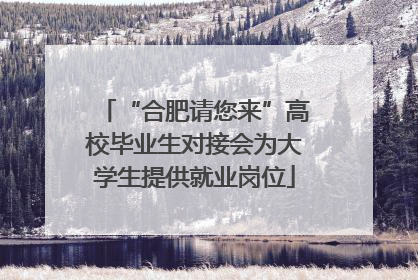 “合肥请您来”高校毕业生对接会为大学生提供就业岗位
