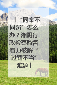 “同案不同罚”怎么办？湘阴行政检察监督着力破解“过罚不当”难题