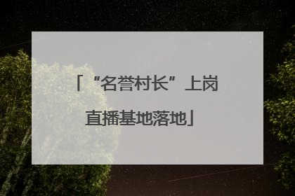 “名誉村长”上岗 直播基地落地