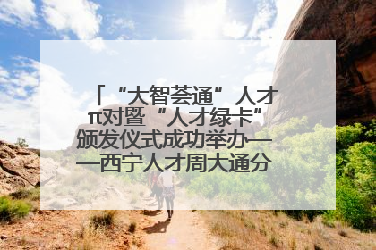 “大智荟通”人才π对暨“人才绿卡”颁发仪式成功举办——西宁人才周大通分会场亮点纷呈