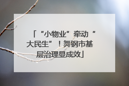 “小物业”牵动“大民生”！舞钢市基层治理显成效