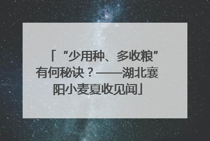 “少用种、多收粮”有何秘诀？——湖北襄阳小麦夏收见闻