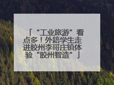 “工业旅游”看点多！外籍学生走进胶州李哥庄镇体验“胶州智造”