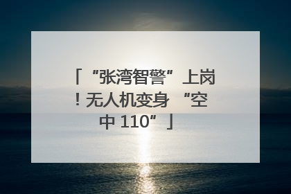 “张湾智警”上岗！无人机变身 “空中 110”