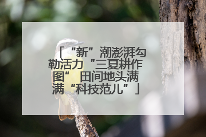 “新”潮澎湃勾勒活力“三夏耕作图” 田间地头满满“科技范儿”