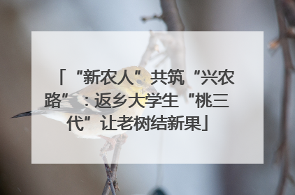 “新农人”共筑“兴农路”：返乡大学生“桃三代”让老树结新果