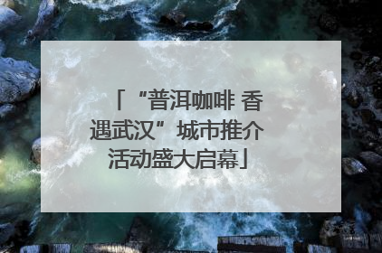 “普洱咖啡 香遇武汉”城市推介活动盛大启幕
