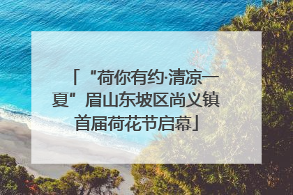 “荷你有约·清凉一夏”眉山东坡区尚义镇首届荷花节启幕