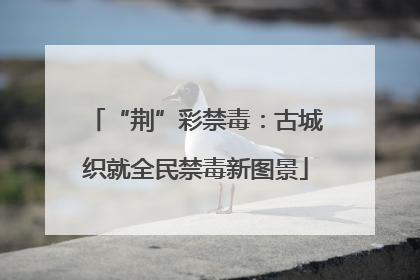 “荆”彩禁毒：古城织就全民禁毒新图景