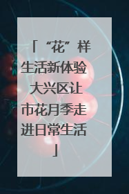 “花”样生活新体验 大兴区让市花月季走进日常生活