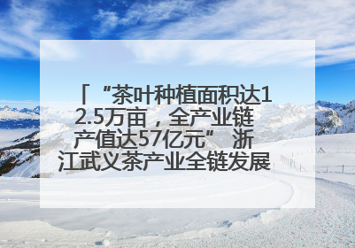 “茶叶种植面积达12.5万亩，全产业链产值达57亿元” 浙江武义茶产业全链发展“加速度”