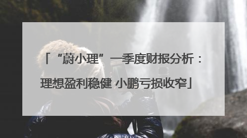 “蔚小理”一季度财报分析：理想盈利稳健 小鹏亏损收窄