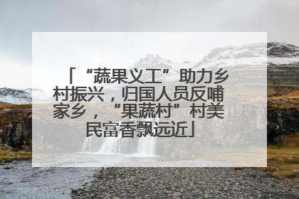 “蔬果义工”助力乡村振兴，归国人员反哺家乡，“果蔬村”村美民富香飘远近