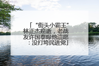 “街头小霸王”林正杰癌逝，老战友许国泰曝他遗愿：没打垮民进党