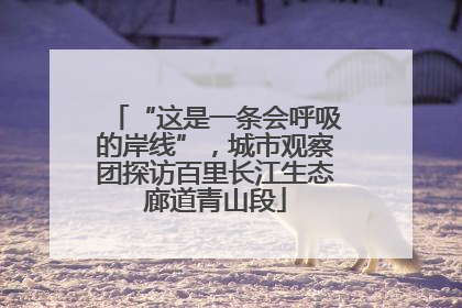 “这是一条会呼吸的岸线”，城市观察团探访百里长江生态廊道青山段