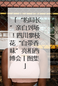 “豹局长”亲自到场！四川攀枝花“自带香味”亮相西博会丨图集