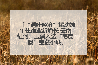 “遛娃经济”撬动端午住宿业新增长 云南红河、玉溪入选“宅度假”宝藏小城