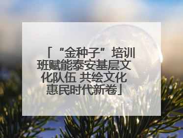“金种子”培训班赋能泰安基层文化队伍 共绘文化惠民时代新卷