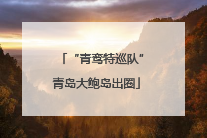 “青鸾特巡队”青岛大鲍岛出圈